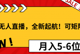 淘宝无人直播，全新起航！可矩阵操作，月入5-6位数！