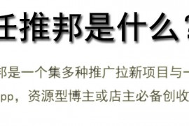 任推邦是什么，其主打项目以及如何注册使用？