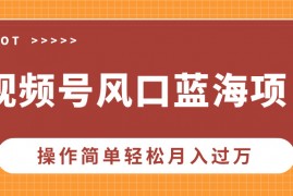 视频号风口蓝海项目，中老年人的流量密码，操作简单轻松月入过万