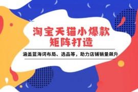 【课程教学】淘宝天猫小爆款矩阵打造：涵盖蓝海词布局、选品等，助力店铺销量飙升