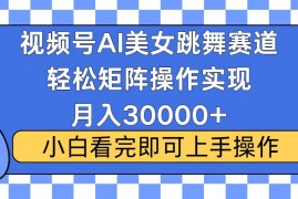 视频号蓝海赛道玩法，当天起号，拉爆流量收益，小白也能轻松月入30000+