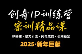 “知识付费IP训练营”小白避坑年赚百万，暴力引流，闪电成交