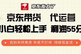 京东带货 代运营 利润55分 告别年终焦虑 年底不打烊 持续现金流