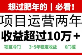 2025快递站回收玩法：收益超过10万+，项目冷门，0门槛