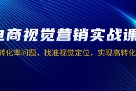 【精品教学】电商视觉营销实战课，解决转化率问题，找准视觉定位，实现高转化目标