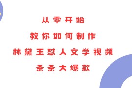 从零开始，教你如何制作林黛玉怼人文学视频！条条大爆款